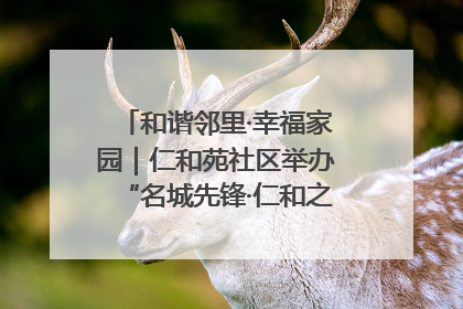 和谐邻里·幸福家园｜仁和苑社区举办“名城先锋·仁和之家”文明实践活动