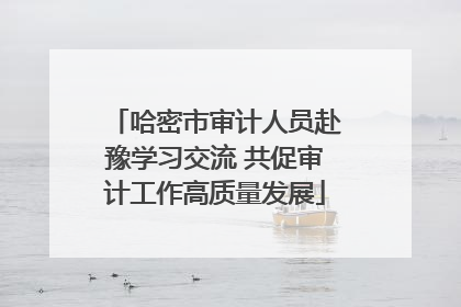 哈密市审计人员赴豫学习交流 共促审计工作高质量发展