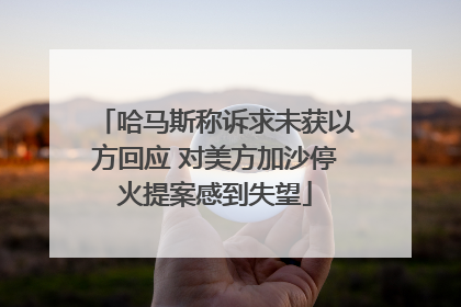哈马斯称诉求未获以方回应 对美方加沙停火提案感到失望