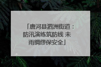 唐河县泗洲街道：防汛演练筑防线 未雨绸缪保安全