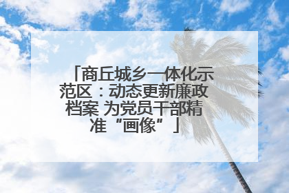 商丘城乡一体化示范区：动态更新廉政档案 为党员干部精准“画像”