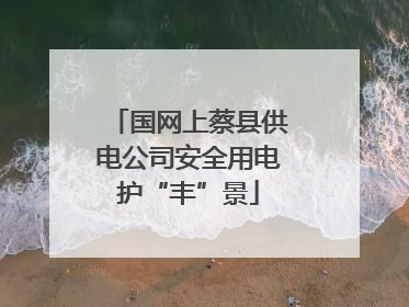 国网上蔡县供电公司安全用电护“丰”景