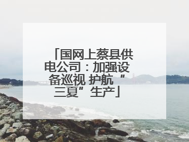 国网上蔡县供电公司：加强设备巡视 护航“三夏”生产