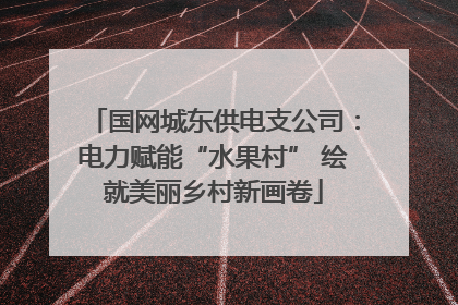 国网城东供电支公司：电力赋能“水果村” 绘就美丽乡村新画卷