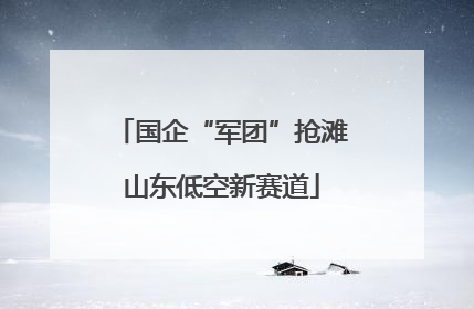 国企“军团”抢滩山东低空新赛道