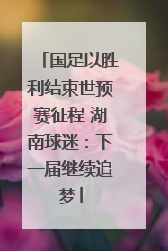 国足以胜利结束世预赛征程 湖南球迷：下一届继续追梦