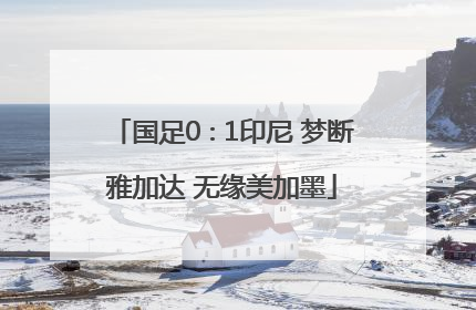 国足0∶1印尼 梦断雅加达 无缘美加墨