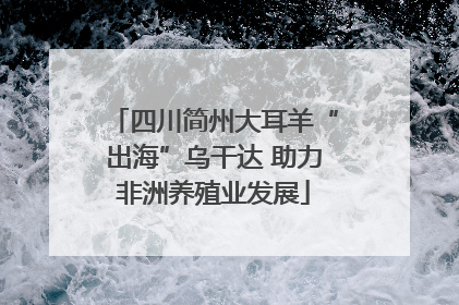 四川简州大耳羊“出海”乌干达 助力非洲养殖业发展