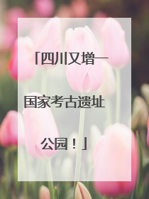 四川又增一国家考古遗址公园！