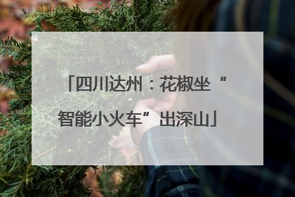 四川达州：花椒坐“智能小火车”出深山