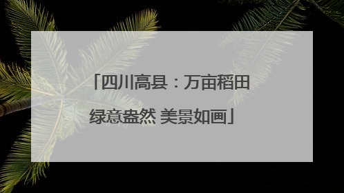 四川高县：万亩稻田绿意盎然 美景如画