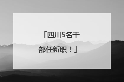 四川5名干部任新职！