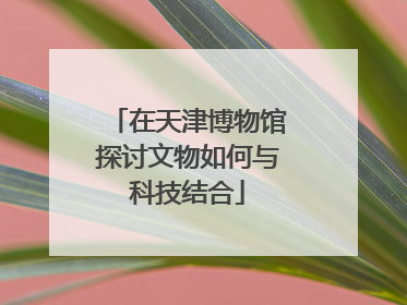 在天津博物馆探讨文物如何与科技结合