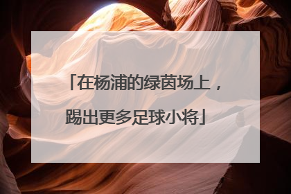 在杨浦的绿茵场上，踢出更多足球小将