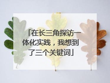 在长三角探访一体化实践，我想到了三个关键词