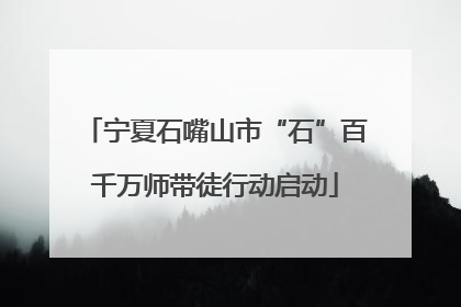 宁夏石嘴山市“石”百千万师带徒行动启动