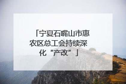 宁夏石嘴山市惠农区总工会持续深化“产改”