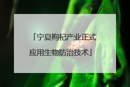 宁夏枸杞产业正式应用生物防治技术