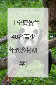 宁夏贺兰40名青少年到乡村研学