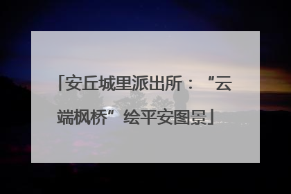 安丘城里派出所：“云端枫桥”绘平安图景