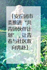安丘团市委推进“共青团伙伴计划”，让青春与社区双向奔赴