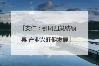 安仁：引凤归巢结硕果 产业兴旺促发展
