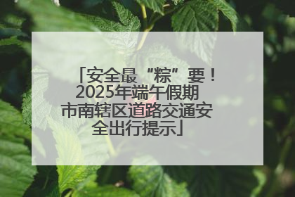 安全最“粽”要！2025年端午假期市南辖区道路交通安全出行提示