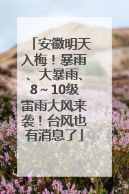 安徽明天入梅！暴雨、大暴雨、8～10级雷雨大风来袭！台风也有消息了