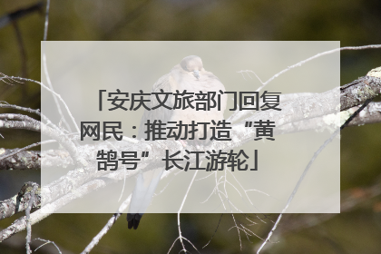 安庆文旅部门回复网民：推动打造“黄鹄号”长江游轮