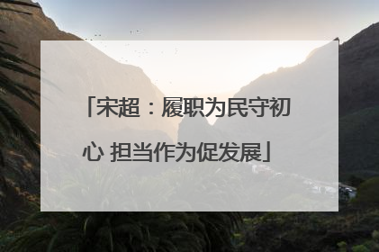 宋超：履职为民守初心 担当作为促发展
