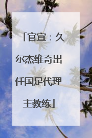 官宣：久尔杰维奇出任国足代理主教练