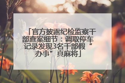 官方披露纪检监察干部查案细节：调取停车记录发现3名干部假“办事”真麻将