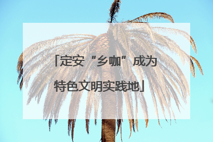定安“乡咖”成为特色文明实践地