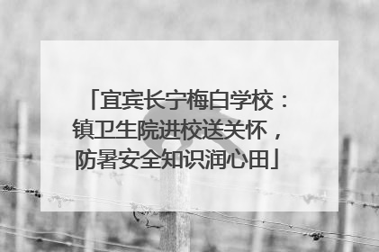 宜宾长宁梅白学校：镇卫生院进校送关怀，防暑安全知识润心田
