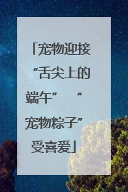 宠物迎接“舌尖上的端午” “宠物粽子”受喜爱