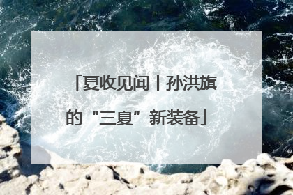 夏收见闻丨孙洪旗的“三夏”新装备