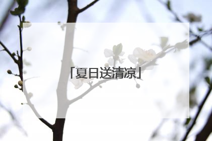 夏日送清凉