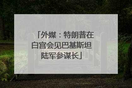 外媒：特朗普在白宫会见巴基斯坦陆军参谋长