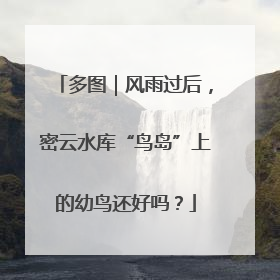 多图｜风雨过后，密云水库“鸟岛”上的幼鸟还好吗？
