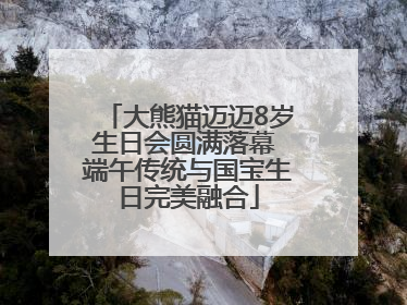 大熊猫迈迈8岁生日会圆满落幕 端午传统与国宝生日完美融合