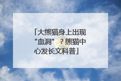 大熊猫身上出现“血洞”？熊猫中心发长文科普