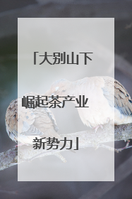 大别山下崛起茶产业新势力