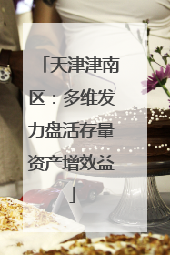 天津津南区：多维发力盘活存量资产增效益