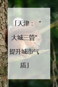 天津：“大城三管”提升城市气质