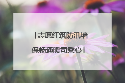 志愿红筑防汛墙 保畅通暖司乘心
