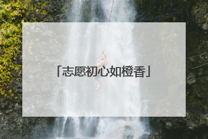 志愿初心如橙香