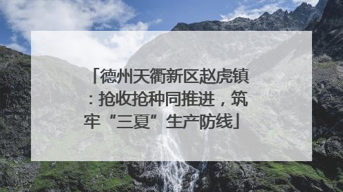 德州天衢新区赵虎镇：抢收抢种同推进，筑牢“三夏”生产防线