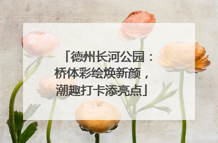 德州长河公园：桥体彩绘焕新颜，潮趣打卡添亮点