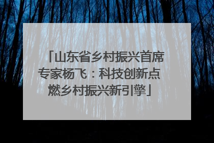山东省乡村振兴首席专家杨飞：科技创新点燃乡村振兴新引擎