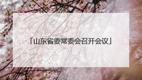 山东省委常委会召开会议
